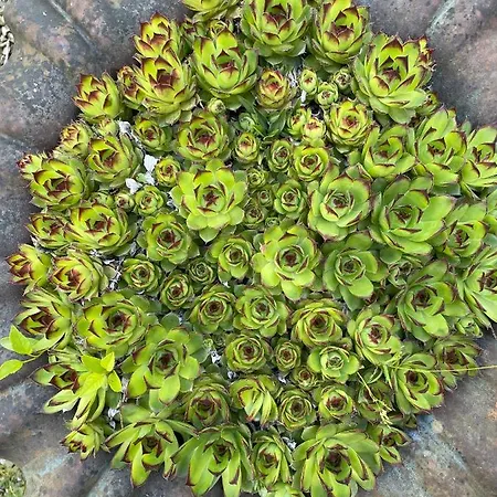 Domaine La Belle Histoire - Cote Jardin ゲストハウス