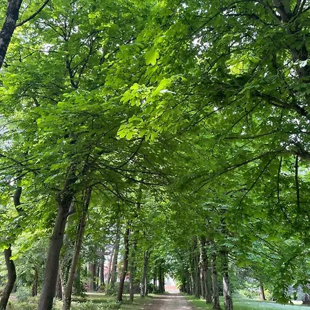 Gasthof Domaine La Belle Histoire - Cote Jardin 3*
